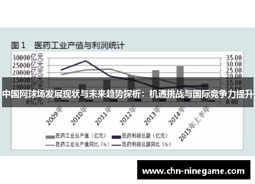 中国网球场发展现状与未来趋势探析：机遇挑战与国际竞争力提升